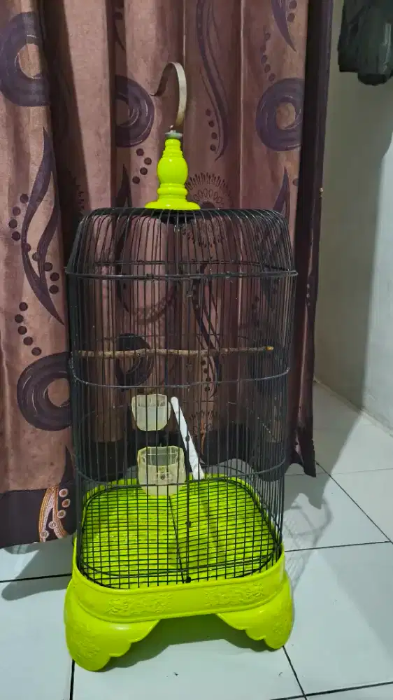 Kandang love bird kotak baru pake satu minggu masih bagus