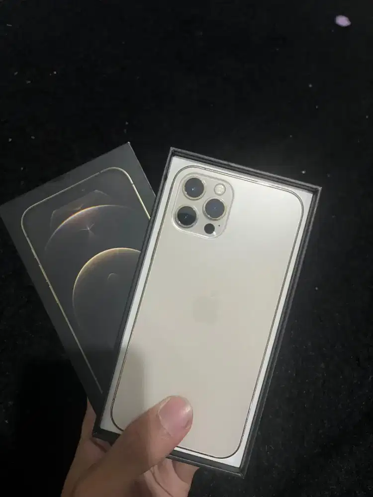 iPhone 12 Pro 256 Beacukai/ Setara IBox