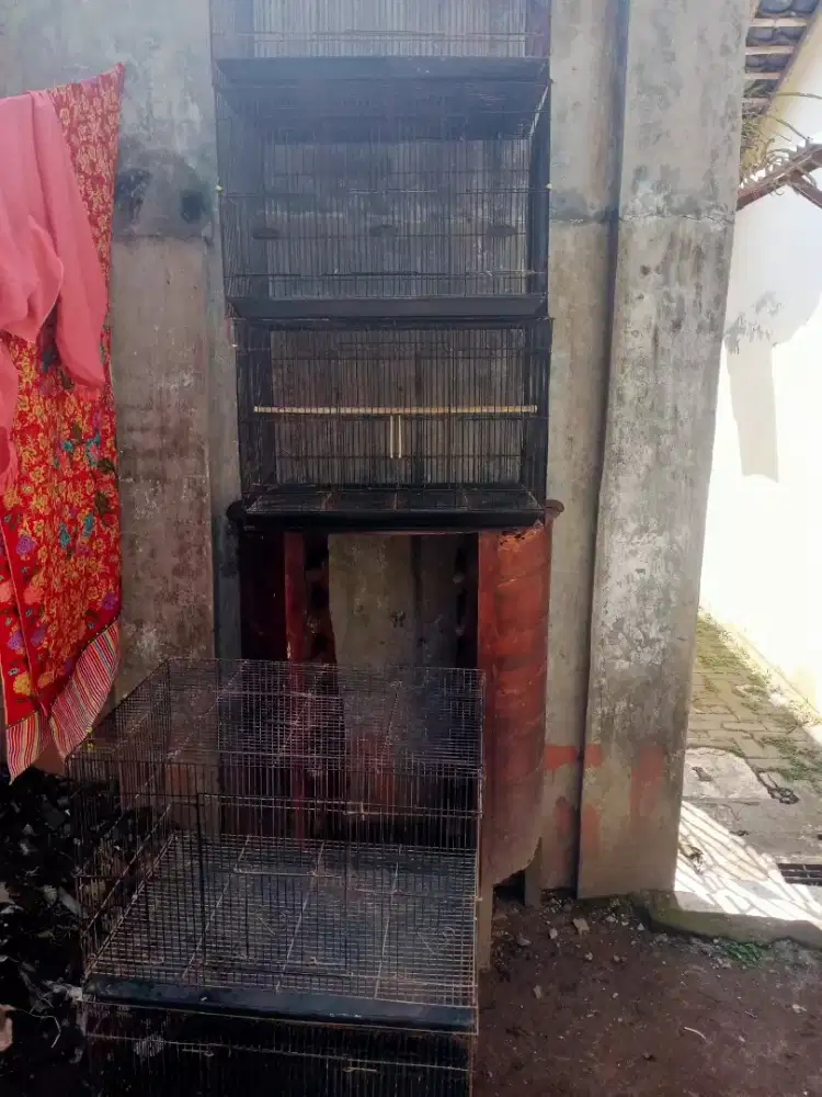Sangkar besi kotak ternak