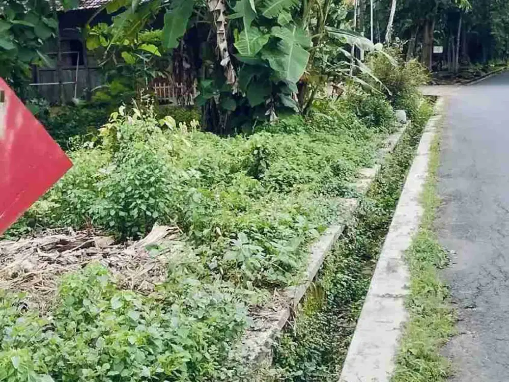 Dijual cepat Tanah Darat / Pekarangan dengan Luas 359m², Surat Sudah SHM, Akses jalan Mobil.
Dekat dengan fasilitas umum Seperti :
Stasiun Kereta
Kantor Polisi
Asrama Brimob
Bandara YIA

Lokasi strategis dipinggir jalan desa ( Hook ), 100 Meter dari jalan