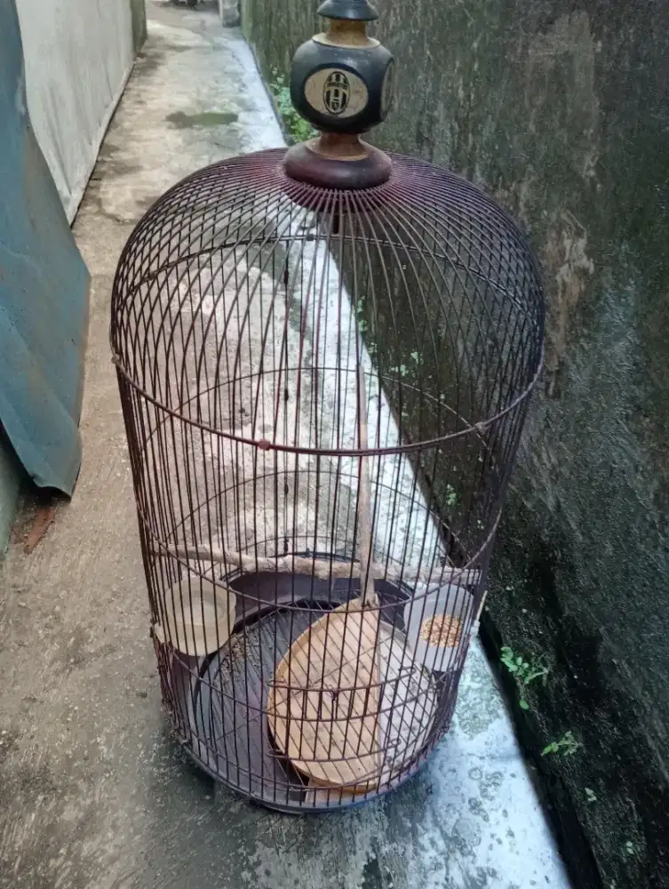 Sangkar LB minta di cat ulang