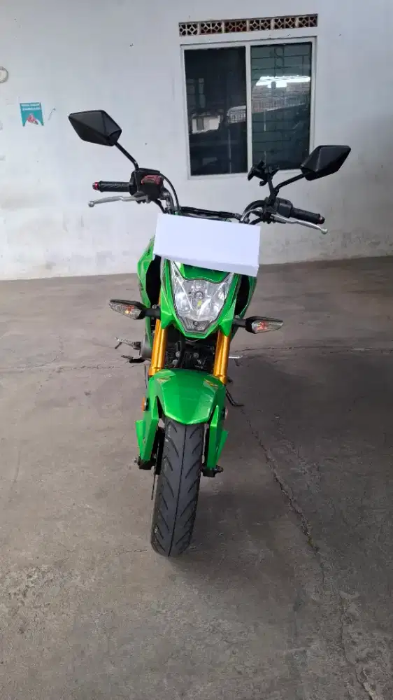 Kawasaki Z125 Pro