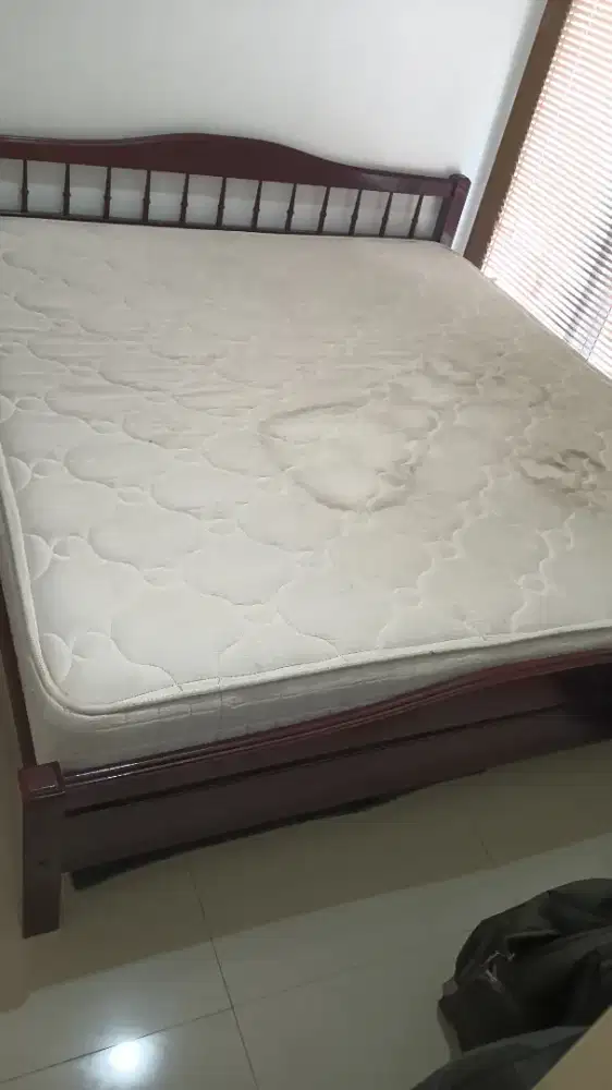 Spring bed kasur elite 180 cm king