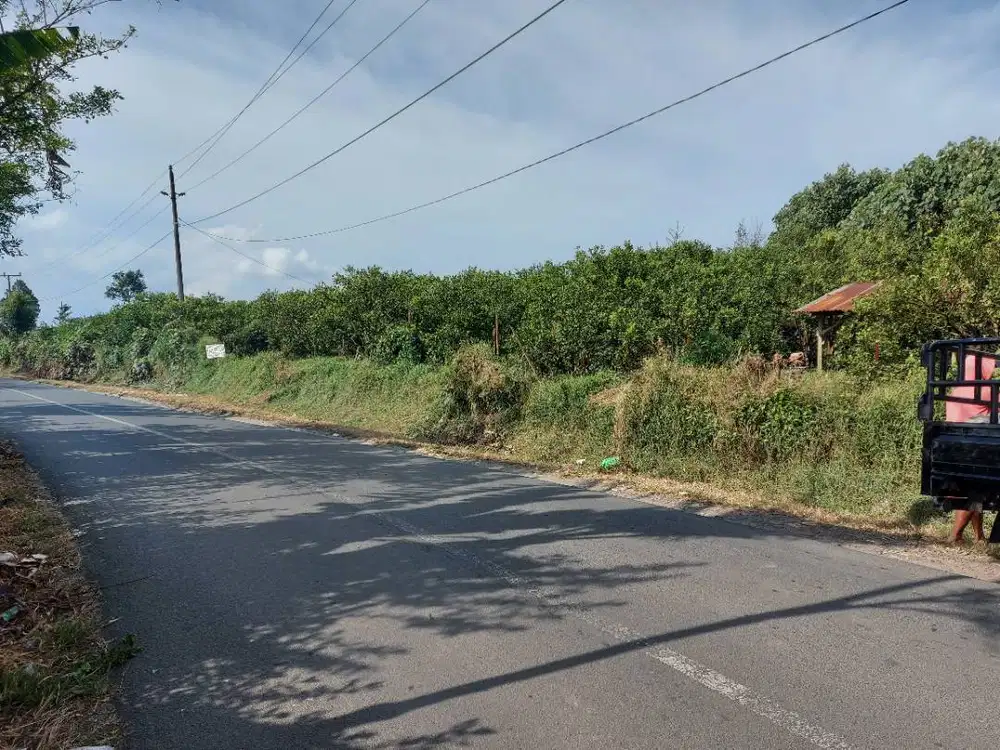 DIJUAL LAHAN PERTAPAKAN JERUK PINGGIR JALAN