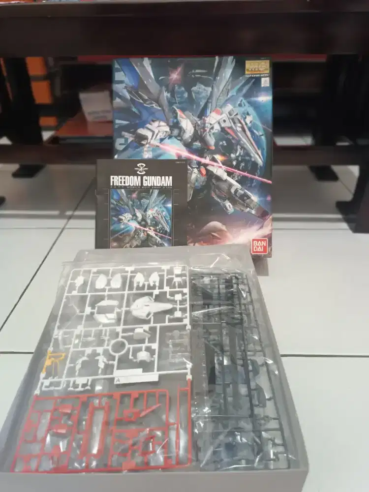Master Grade 1/100 Freedom ver 2.0 Original Bandai