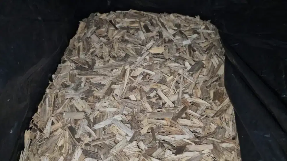 Kayu gaharu sandal oud wood Kalimantan Sumatera