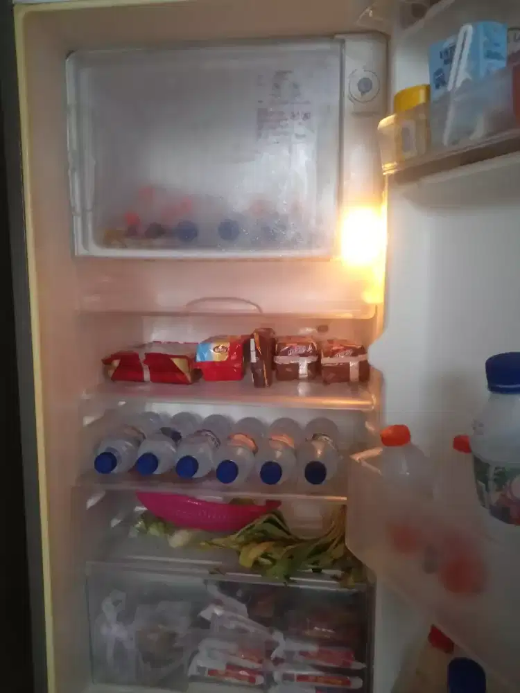 Klukas merak Lg
