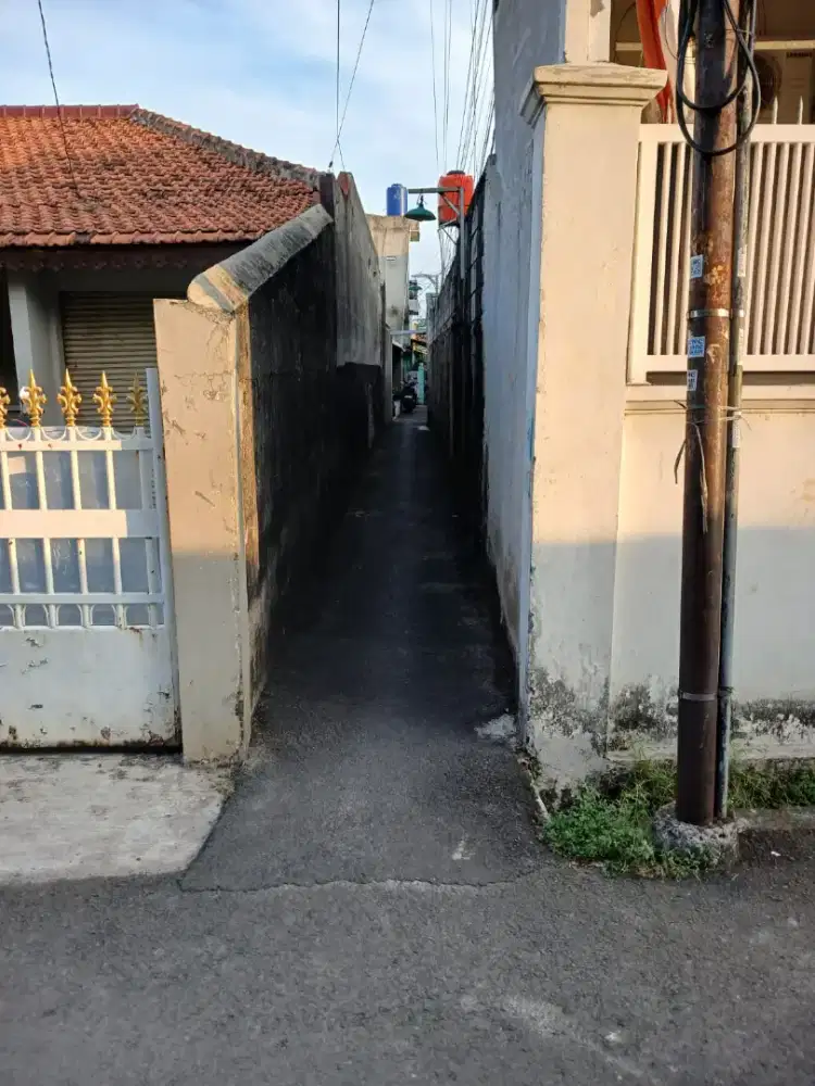 Sewa rumah/kontrakan