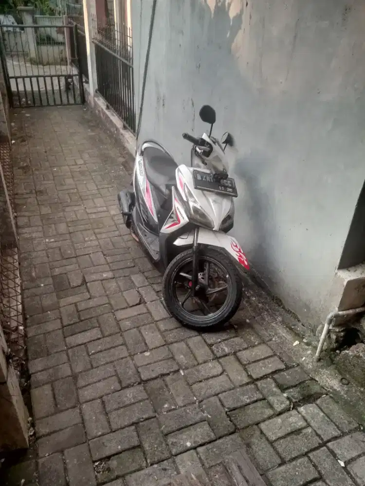 VARIO AGNES STATER HALUS.