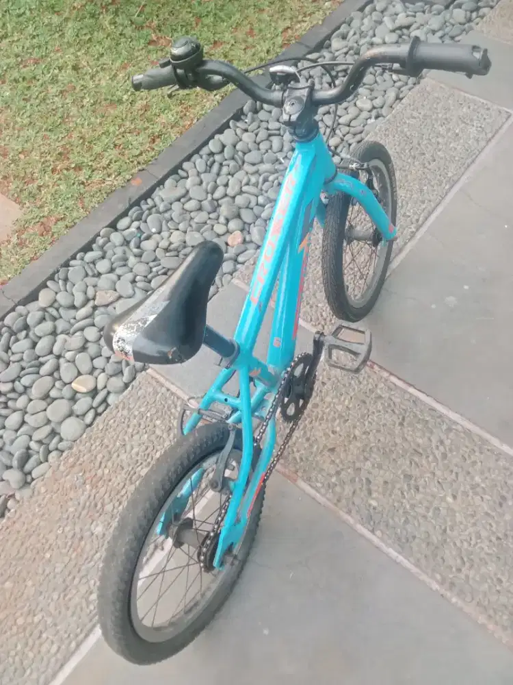 Sepeda Anak Bekas