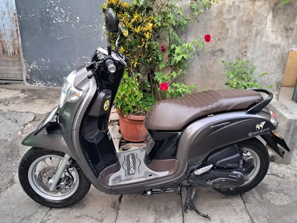 Scoopy donat 2018 TT/BT