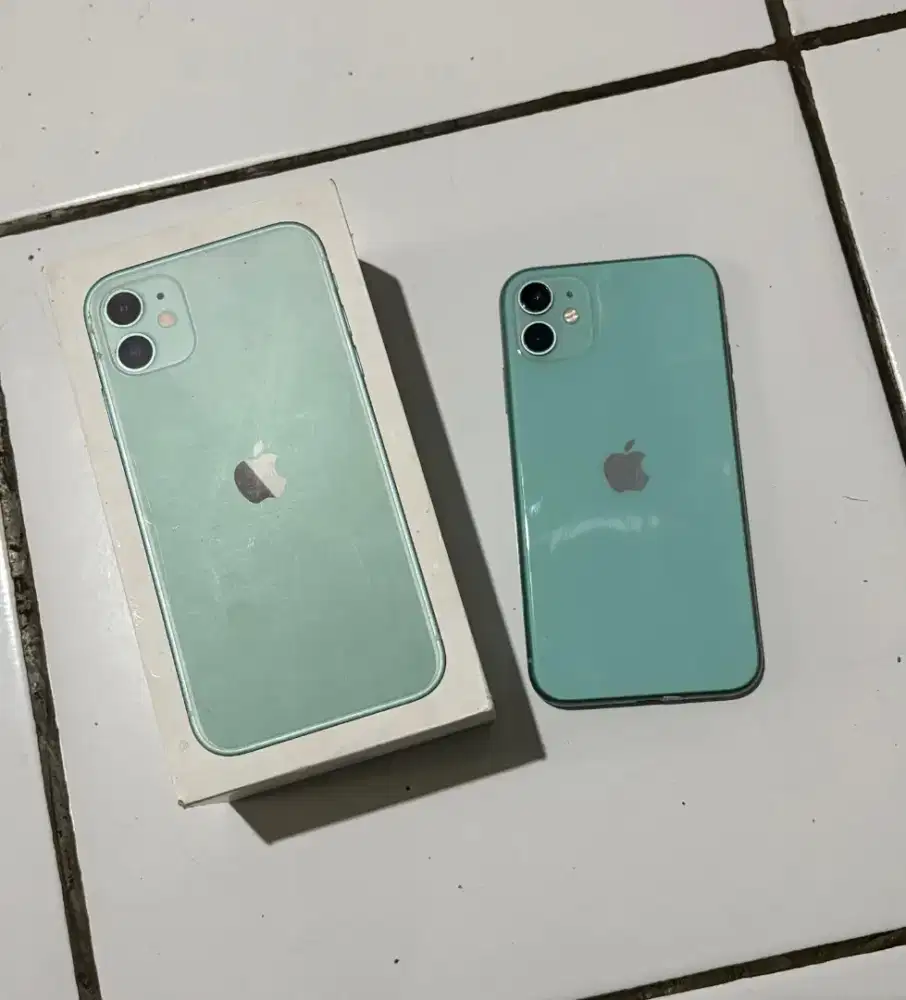 iPhone 11 green 256GB