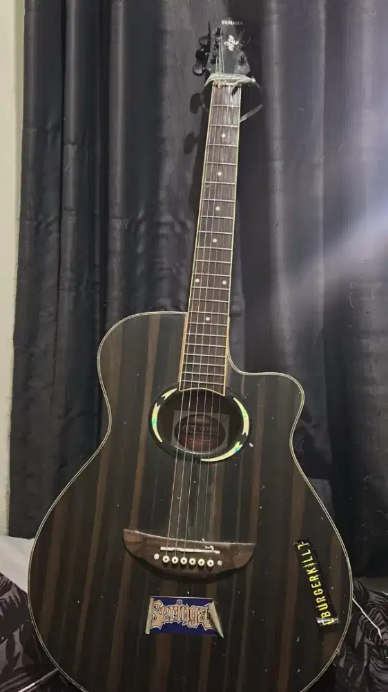 Gitar Yamaha Apx500II dan Kecapi