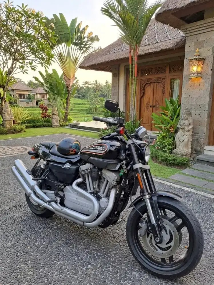 Harley Davidson XR1200