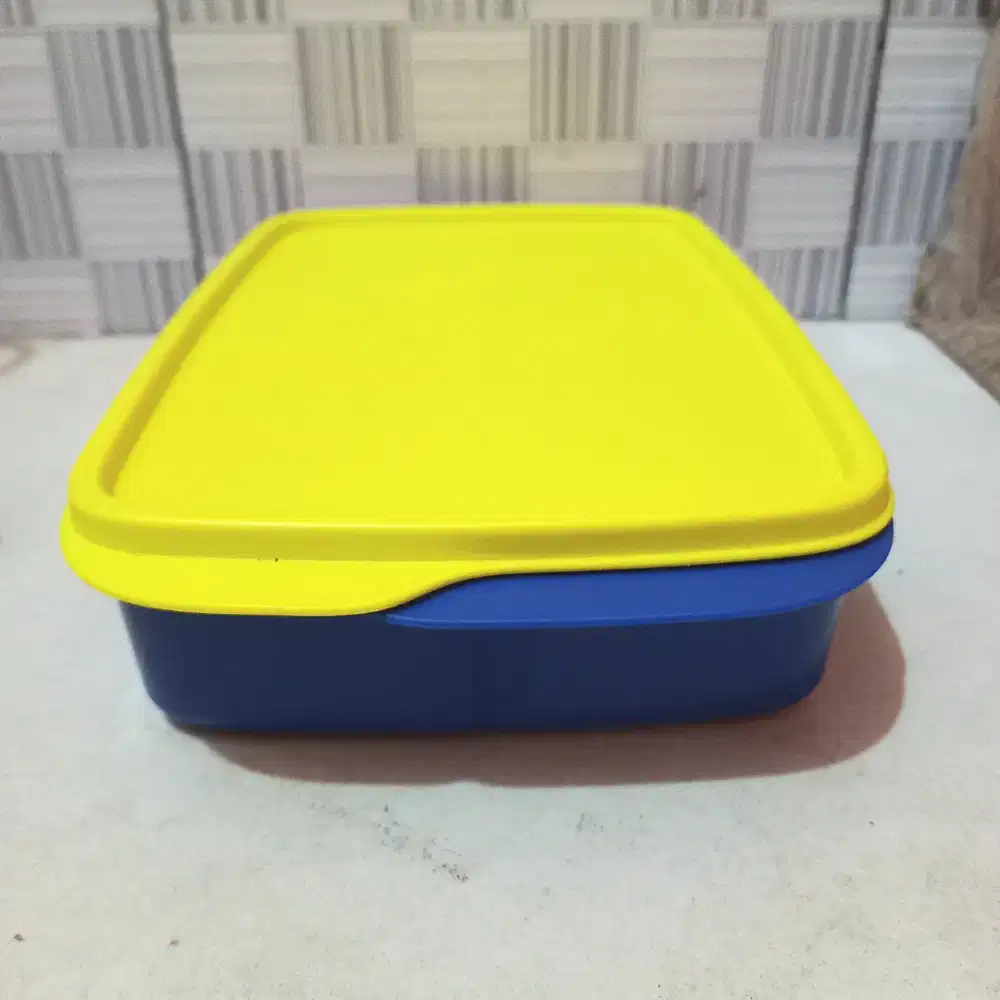Box Tupperware Original Langka Divided mbg box
