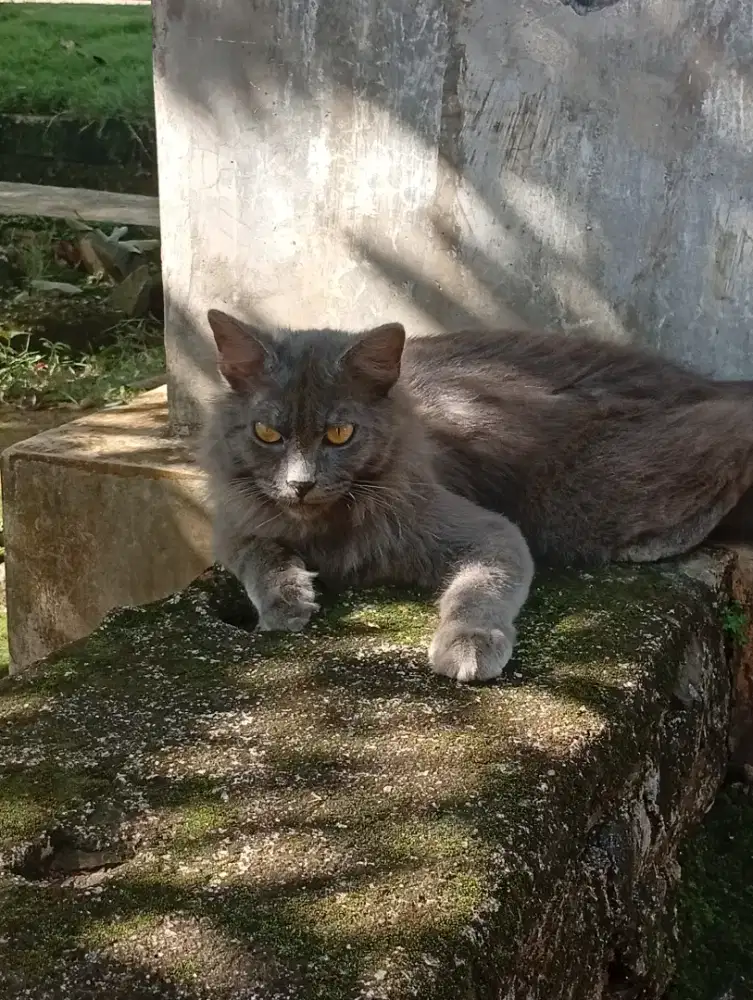 Cari kerja OB/ART/CG
