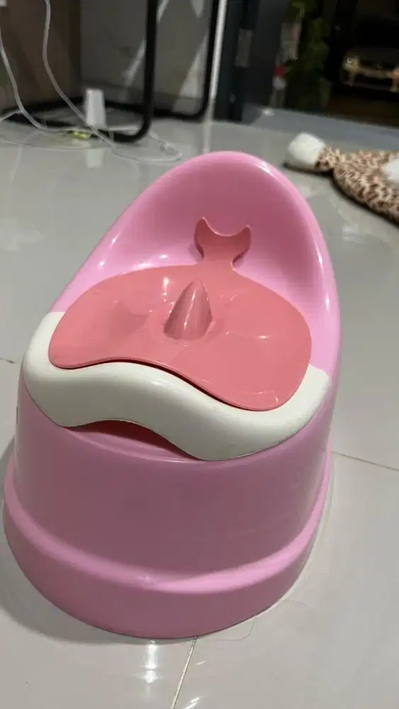 Potty Training / Toilet Training
