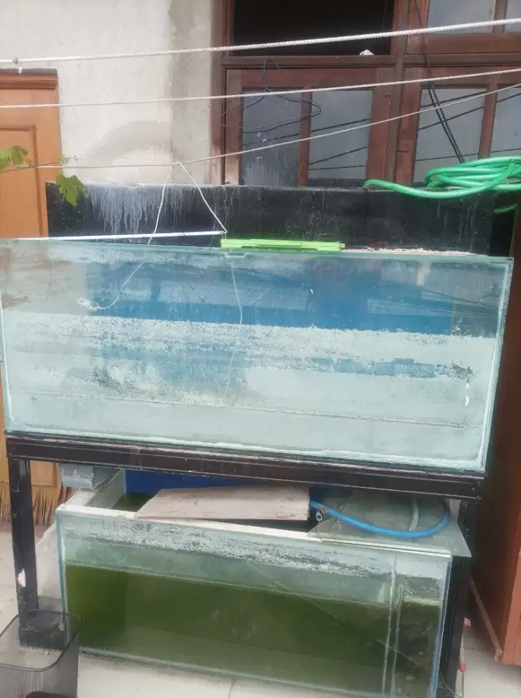 Akuarium besar dan meja akuarium