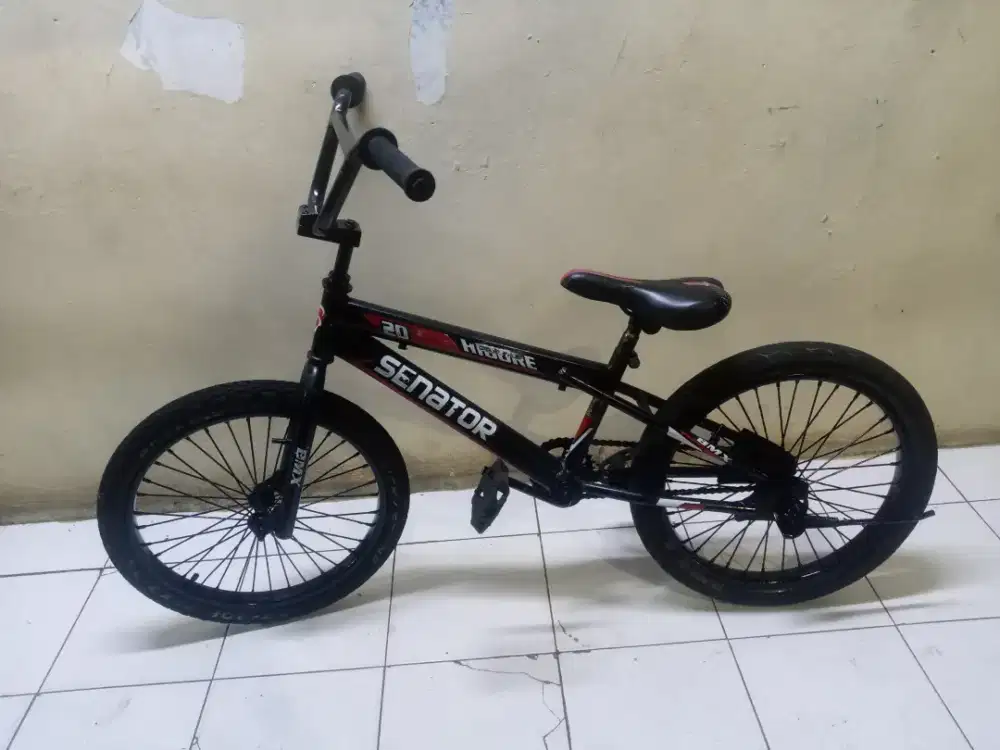 BMX senator ring 20