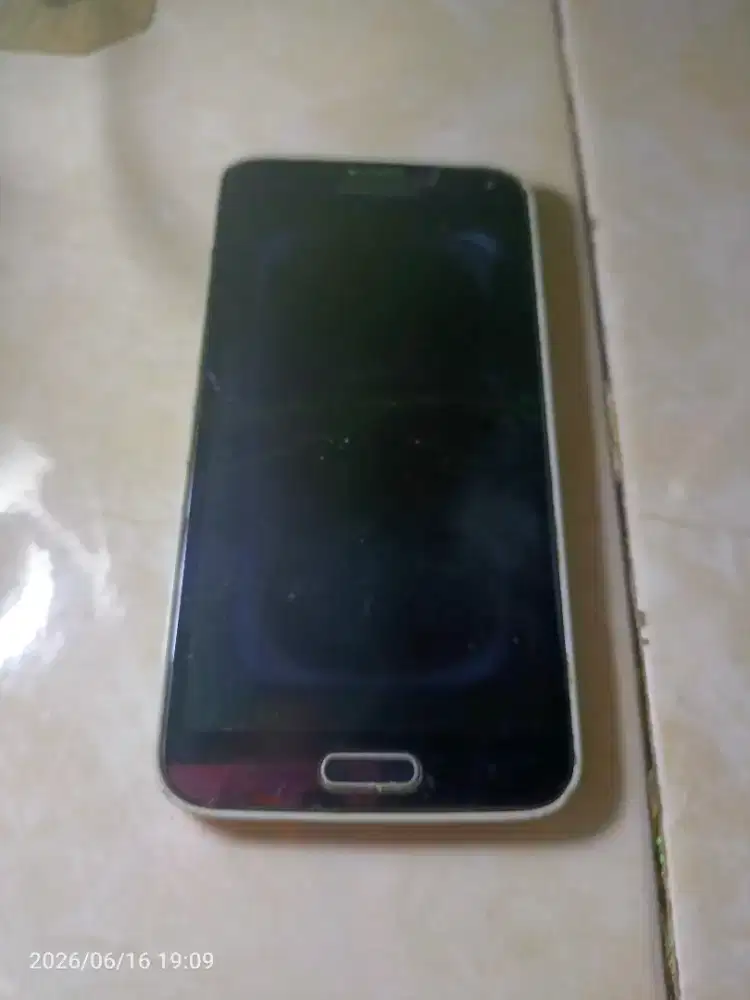 Samsung Galaxy S5 Apa Adanya