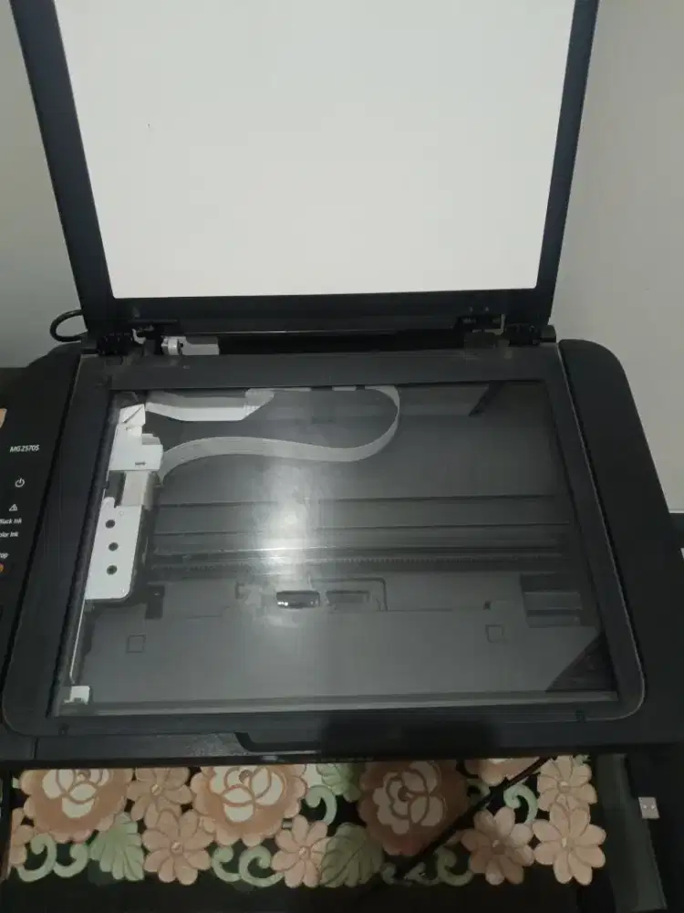 Printer Canon PIXMA MG 2570S
