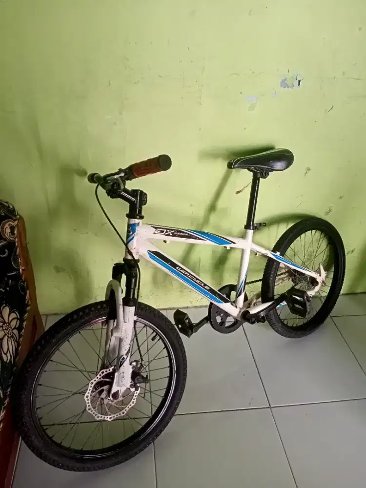 wimcycle r20 Cakram depan