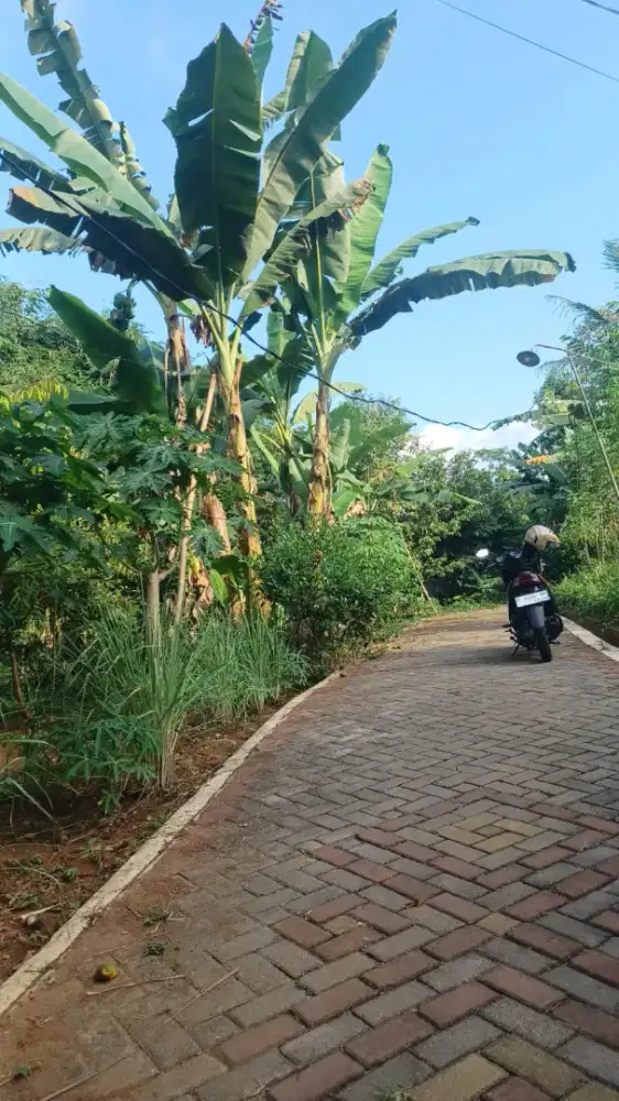 Tanah Murah dekat kampus unika bsb mijen