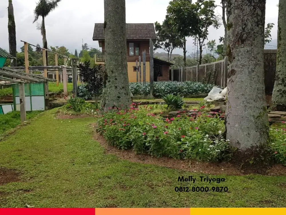Tanah Kebun Luas untuk Bangun Villa di CIpanas