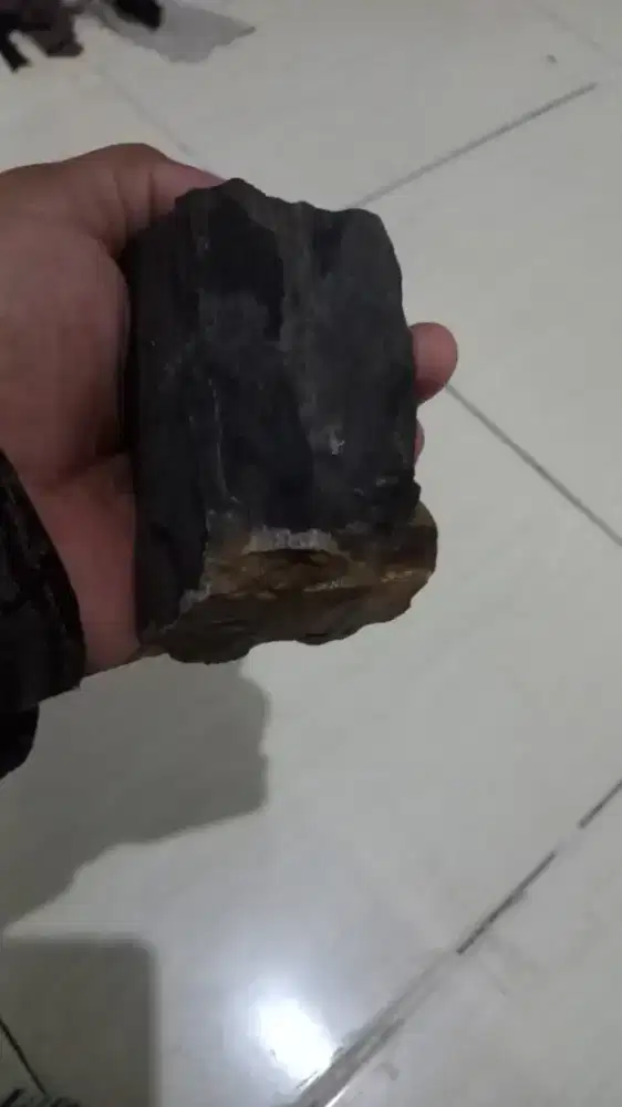 BONGKAHAN BATU FOSIL KELOR ASLI