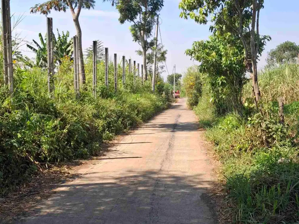 Tanah Murah Belakang Kampus UIN 1 Dinoyo Kota Malang