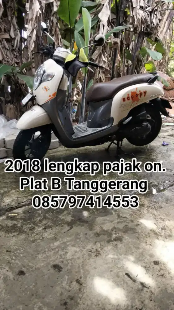 Scoopy donat 2018