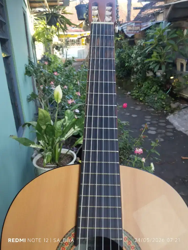 Gitar Klasik Yamaha C30M
