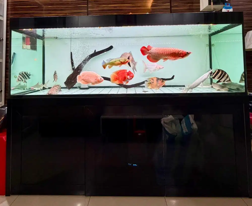Dijual Akuarium termasuk Arwana SR