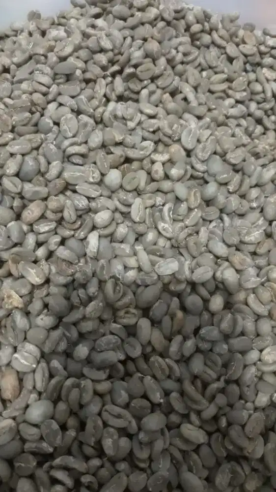 Kopi Robusta Green Beans/Roasted