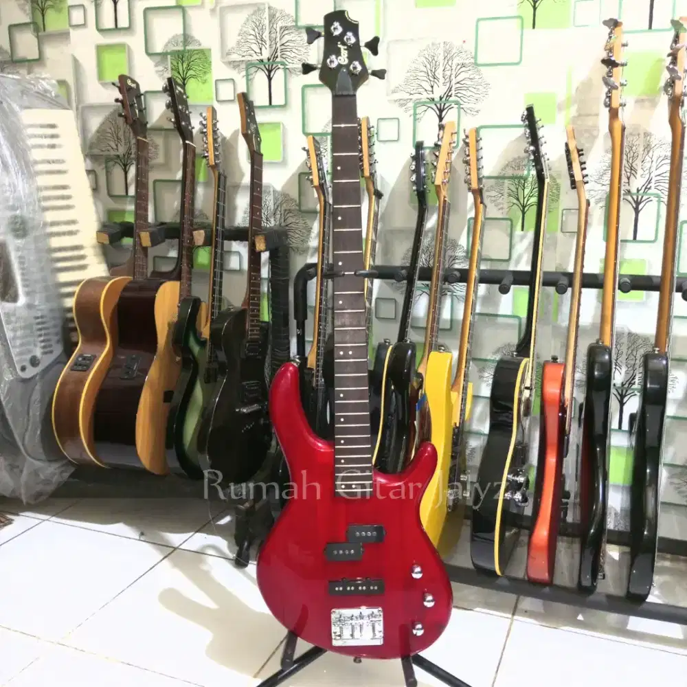 Bass cort Action 4 strings mulus