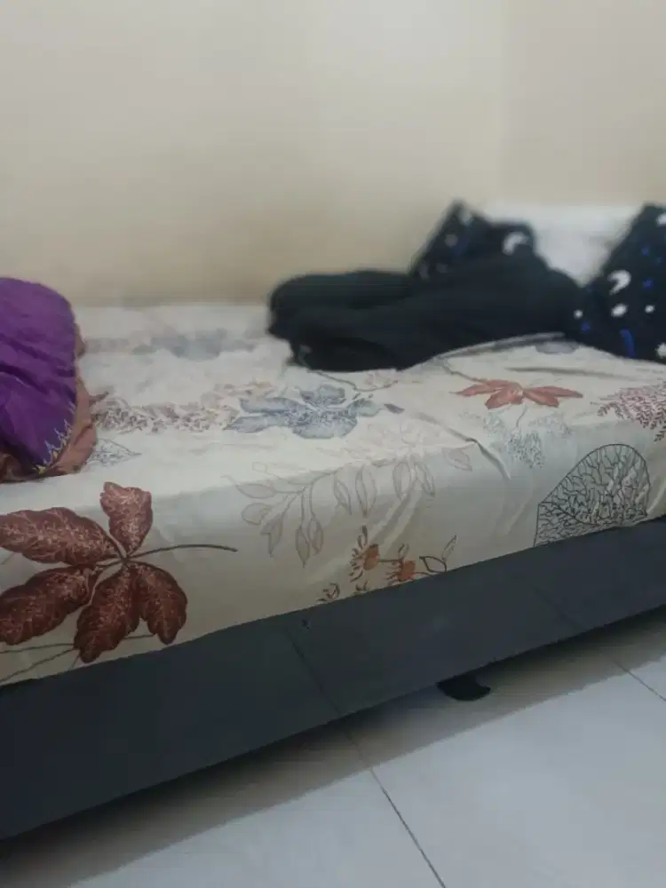 kasur spring bed