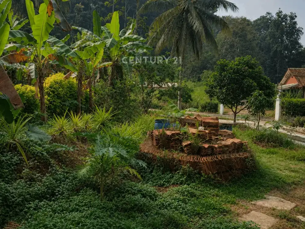 Tanah 1851m2 Di Desa Wisata Papringan Cocok Untuk Villa