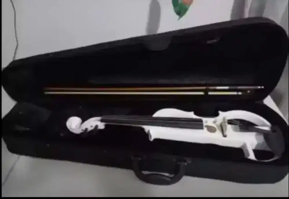 Biola elektrik mandalika like neww