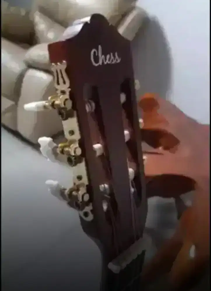 Gitar clasik elwktrik chess