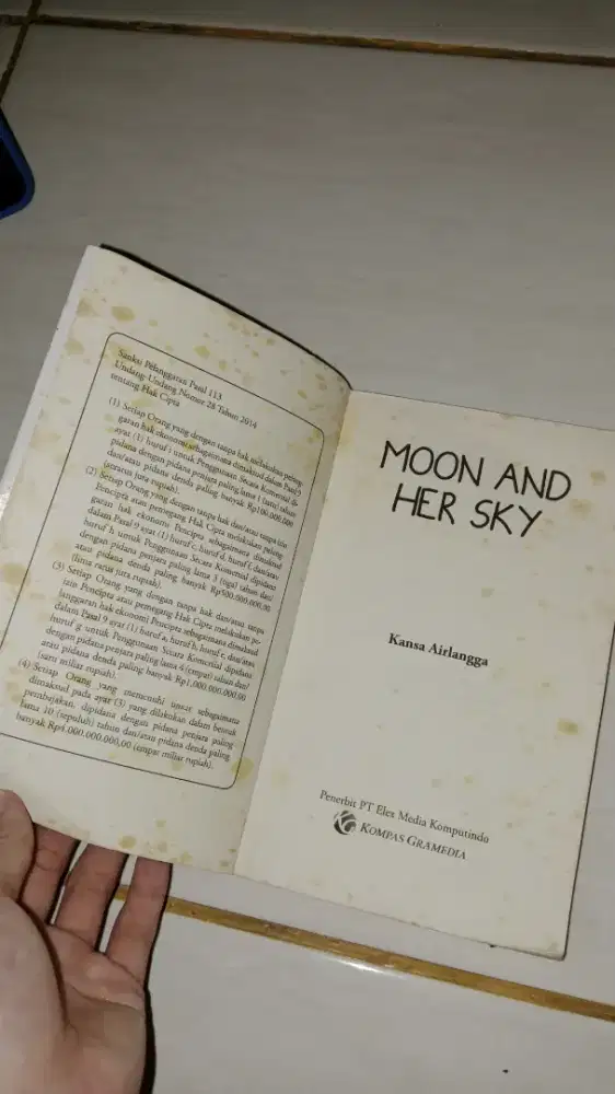 NOVEL MOON AND HER SKY BY KANSA AIRLANGGA