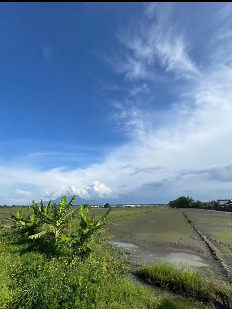 DIJUAL TANAH SAWAH PRODUKTIF