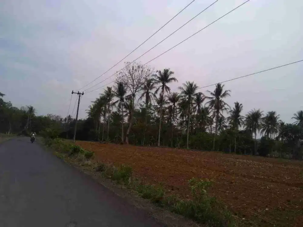 tanah 2,7 hektar pinggir jalan aspal natar