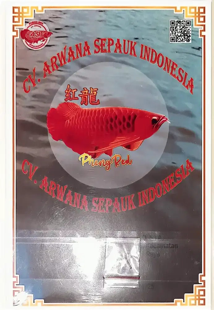 Ikan Arwana Super Red Ori Spauk generasi ke 4 plus Aquaruum full set
