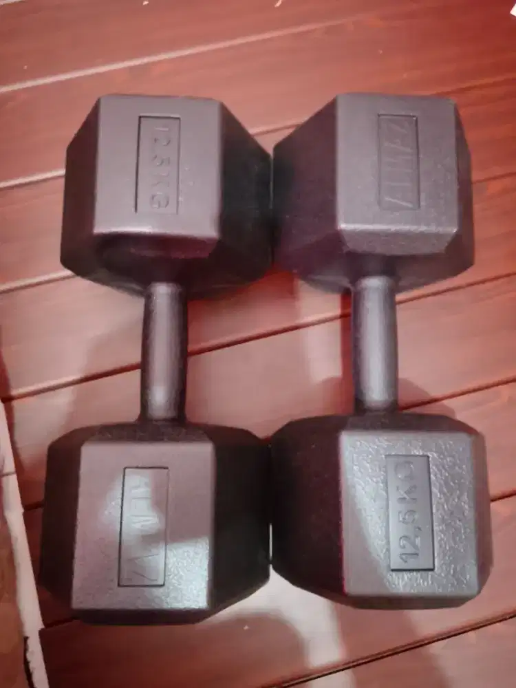 Dumble 12,5 KG (2 PCS )