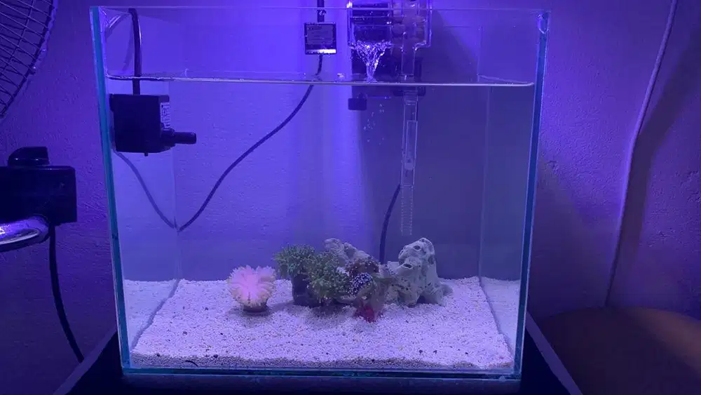 Aquarium full set air laut