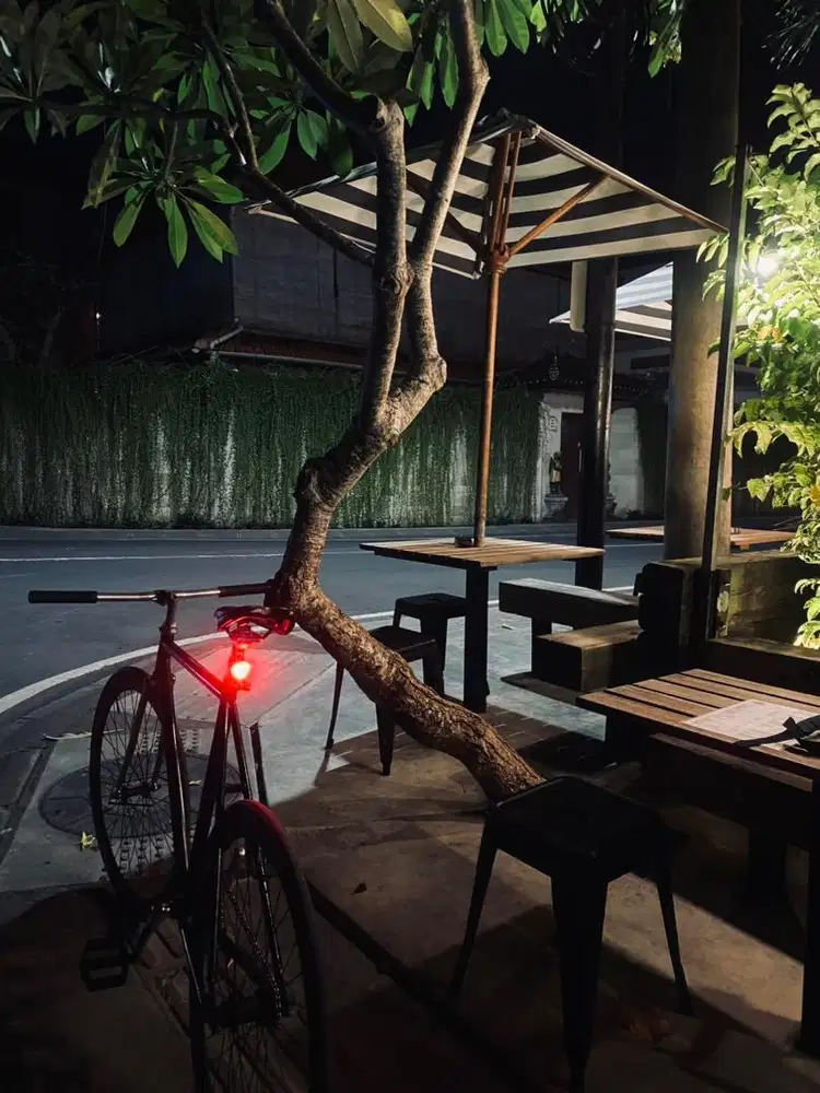 WTS fixie classic