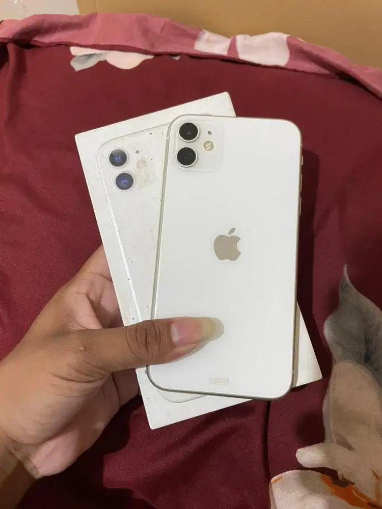 Iphone 11/64 IBOX NEPIS