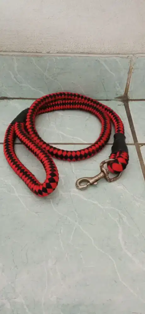 Tali leher anjing - warna merah
