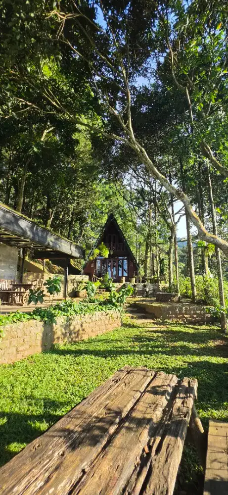 Asisten rumah tangga