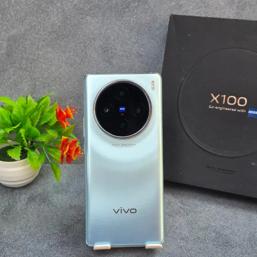 Vivo X100 12/256GB